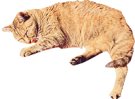 横たわって寝ている茶色の猫