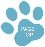 page top